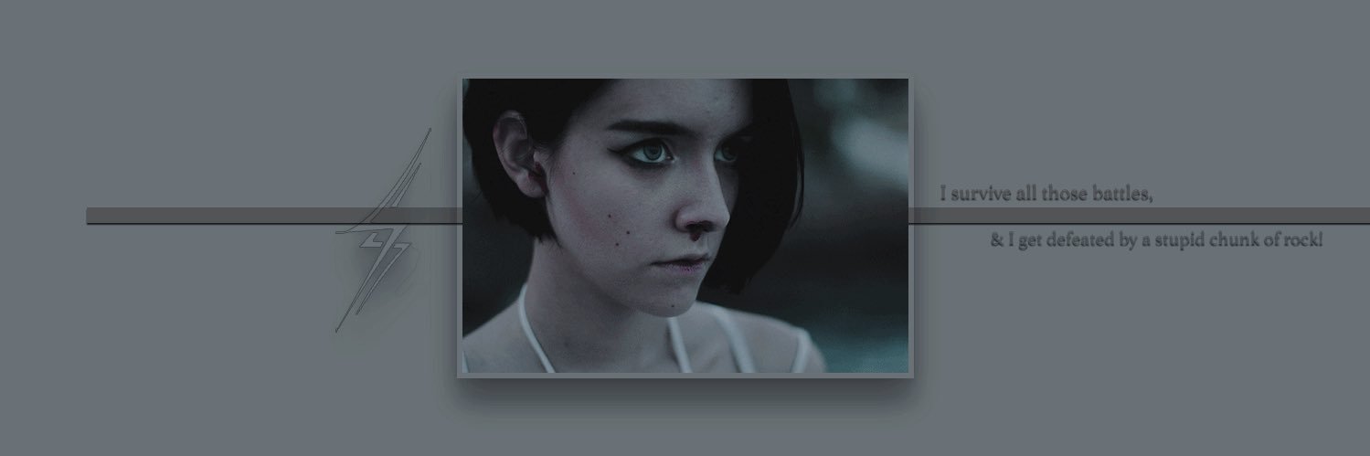 damfrenchfries's profile banner image