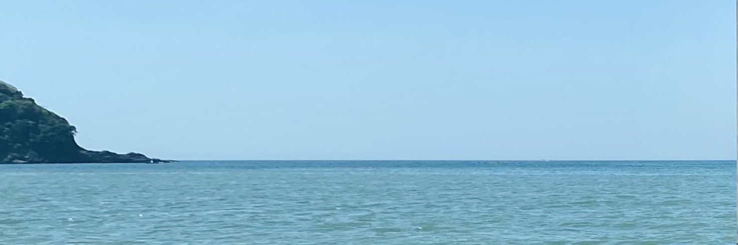 Jas_31ne's profile banner image