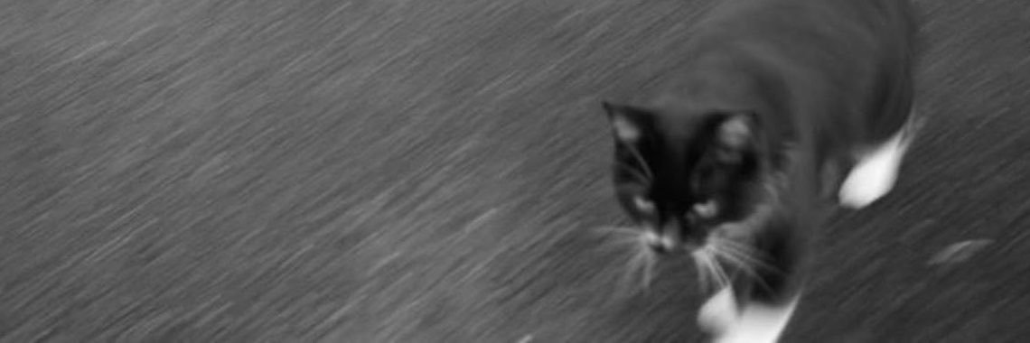 Mobinaimm's profile banner image