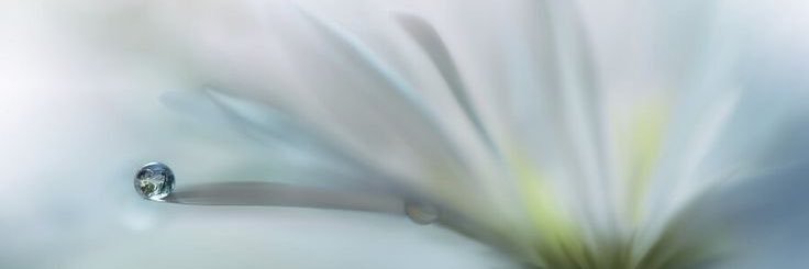 oe_529's profile banner image