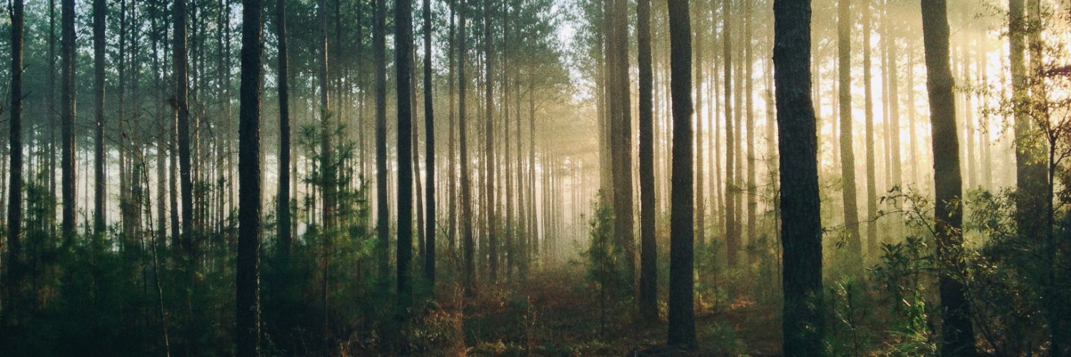 jay_agram's profile banner image