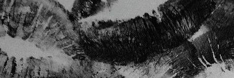 NaturalKyller's profile banner image