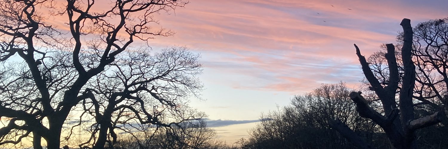 glowofthetv's profile banner image