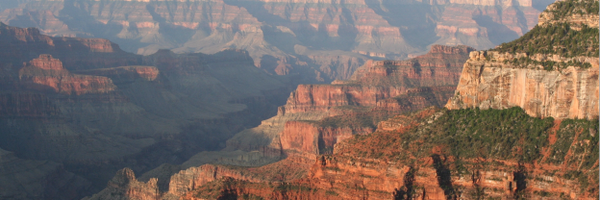 rheiland Profile Banner