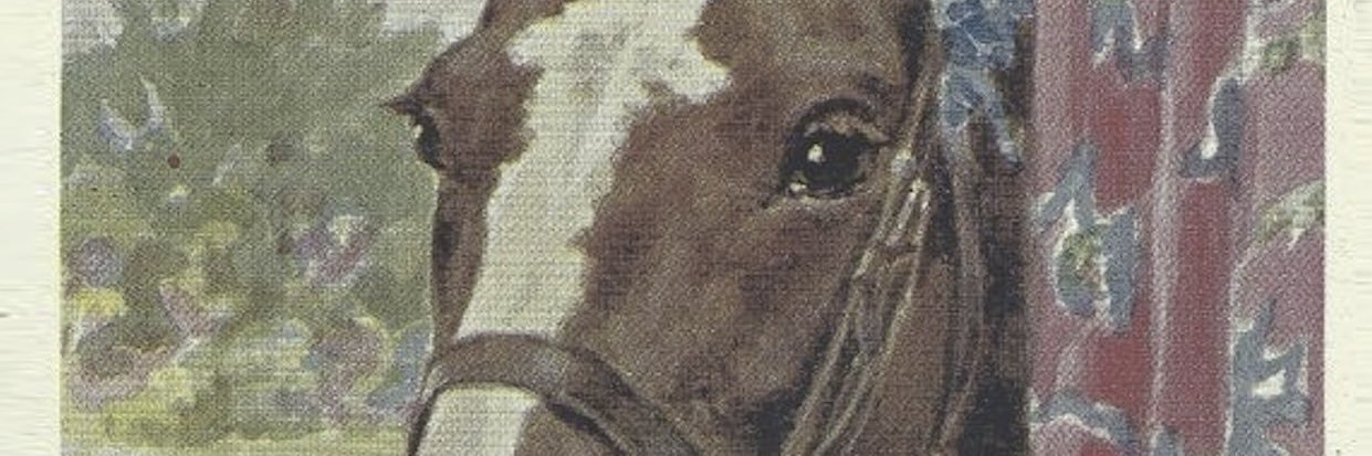 EquusEquumEdit's profile banner image