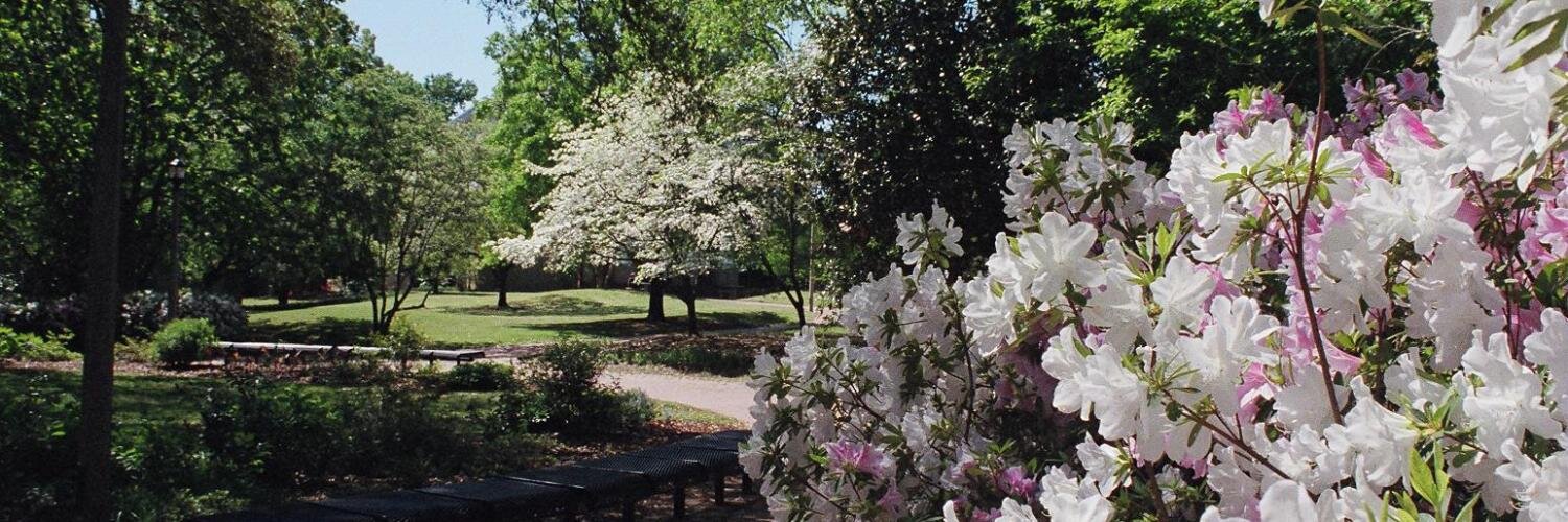 usccampus's profile banner image