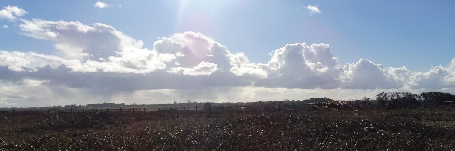 Traceyjane10's profile banner image