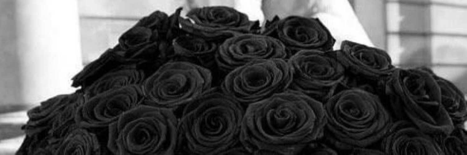 vincentia_ADR's profile banner image