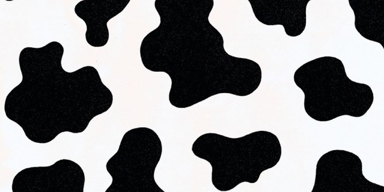 taylormoo's profile banner image