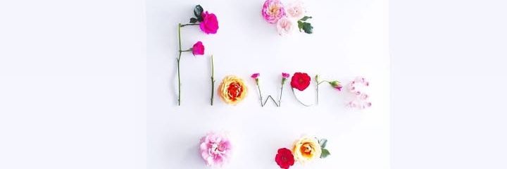 priscyla_flower's profile banner image