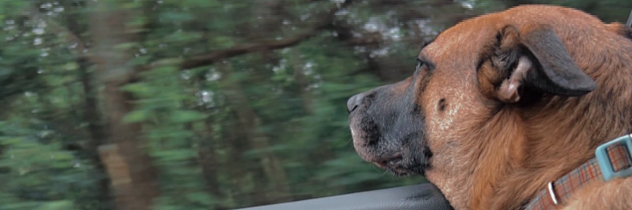 collinhuggins's profile banner image