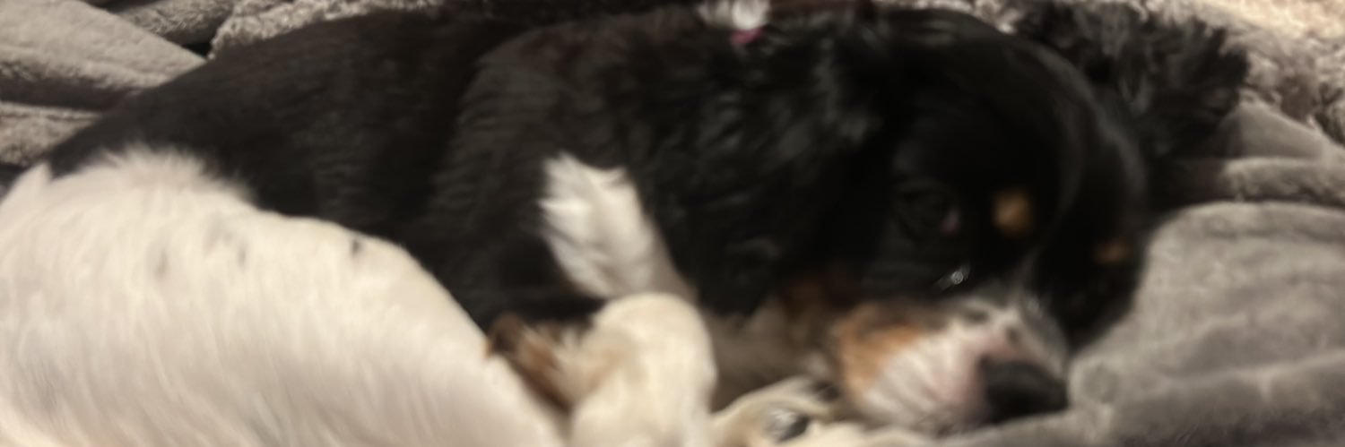 the lawyer with the dragon tattoo banner