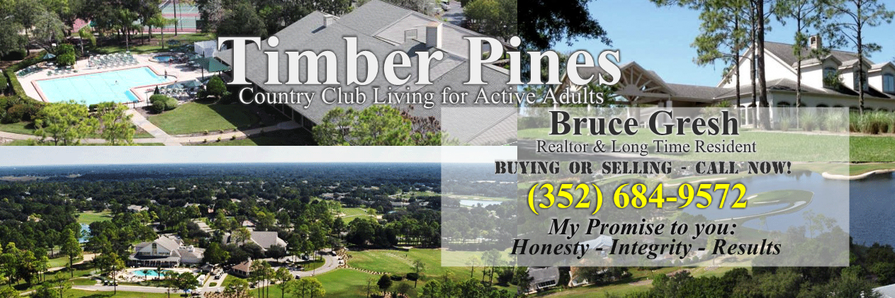 MrTimberPines's profile banner image