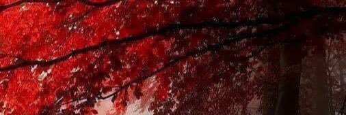 rrmb534's profile banner image