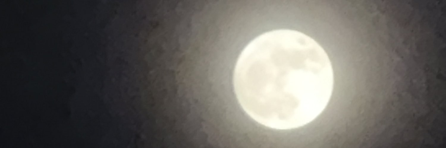 batdng's profile banner image