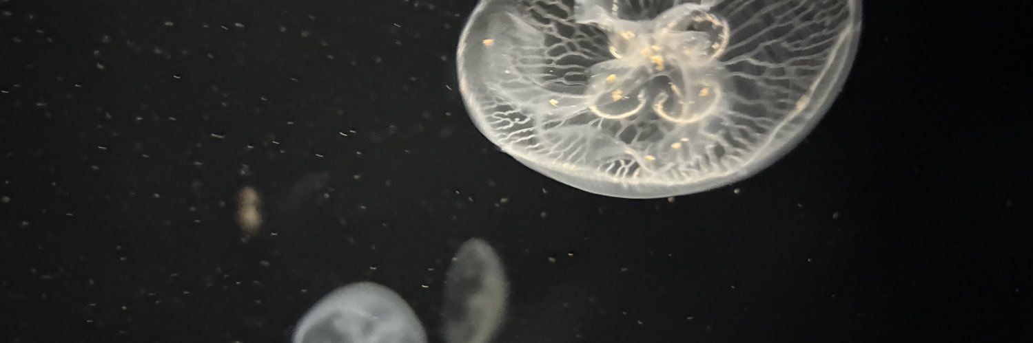 u banner