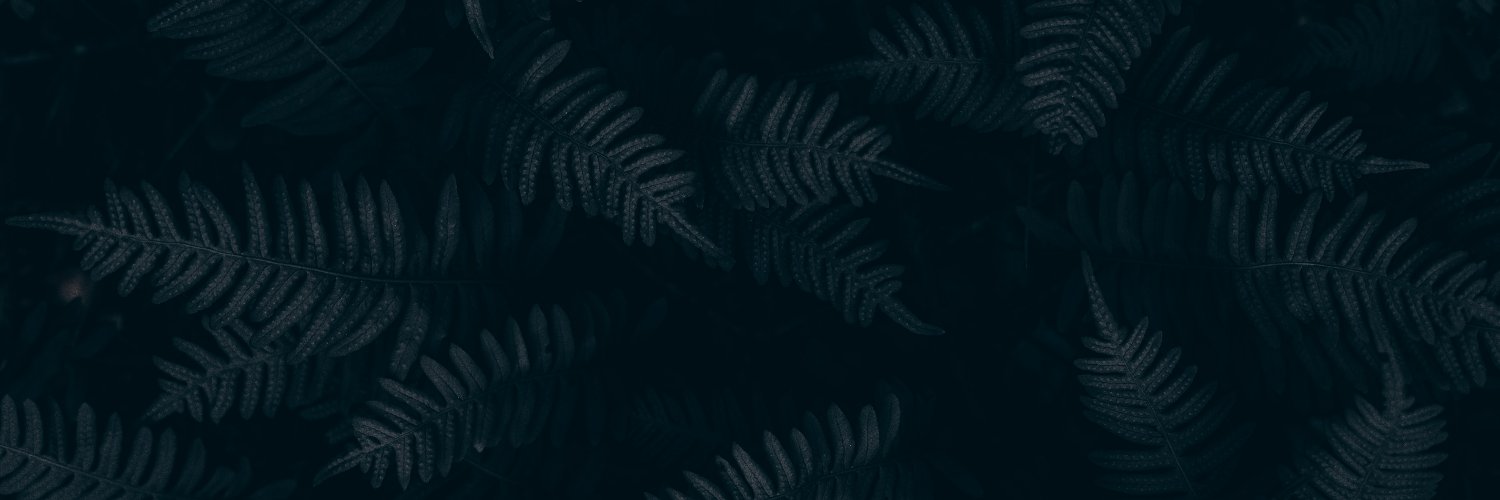ncksmmrs's profile banner image