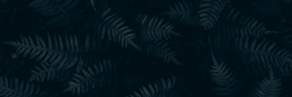 ncksmmrs Profile Banner