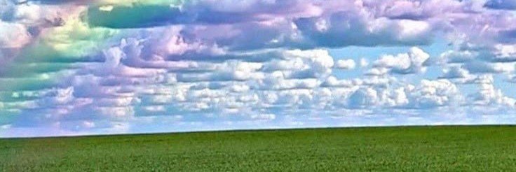im_vale_223's profile banner image