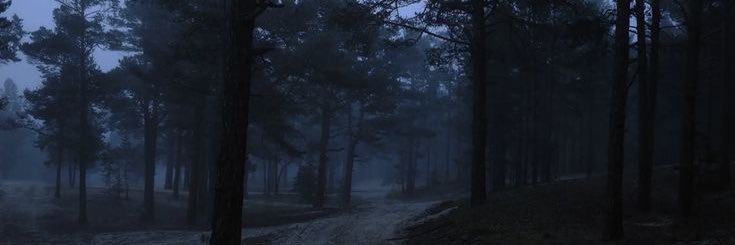 dedeiix's profile banner image