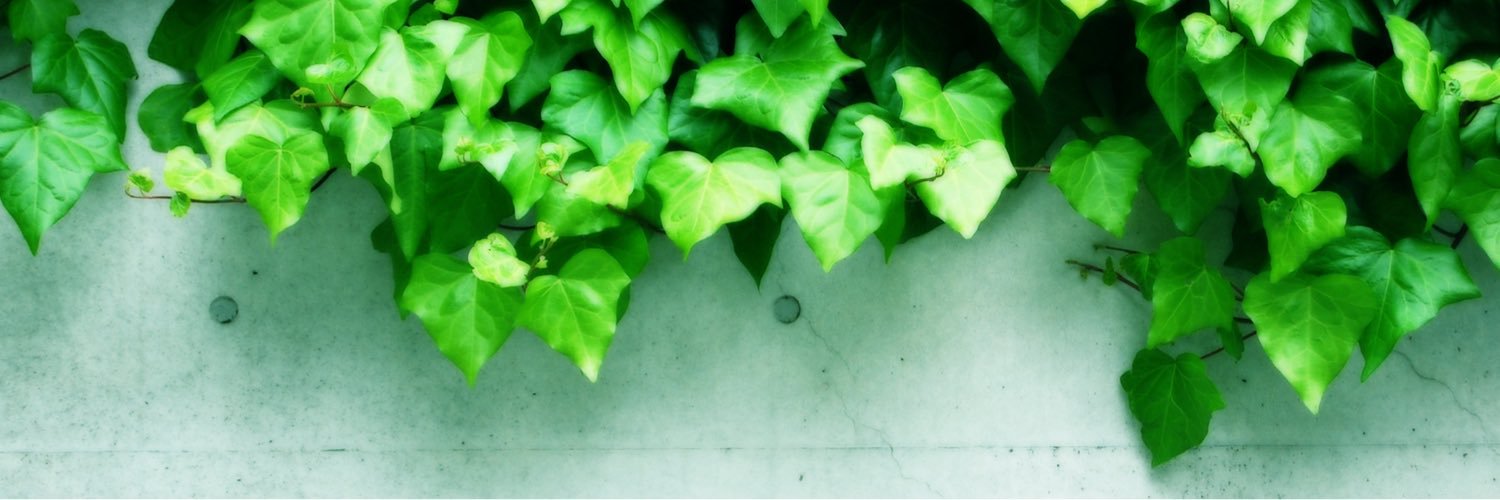 Quittern's profile banner image