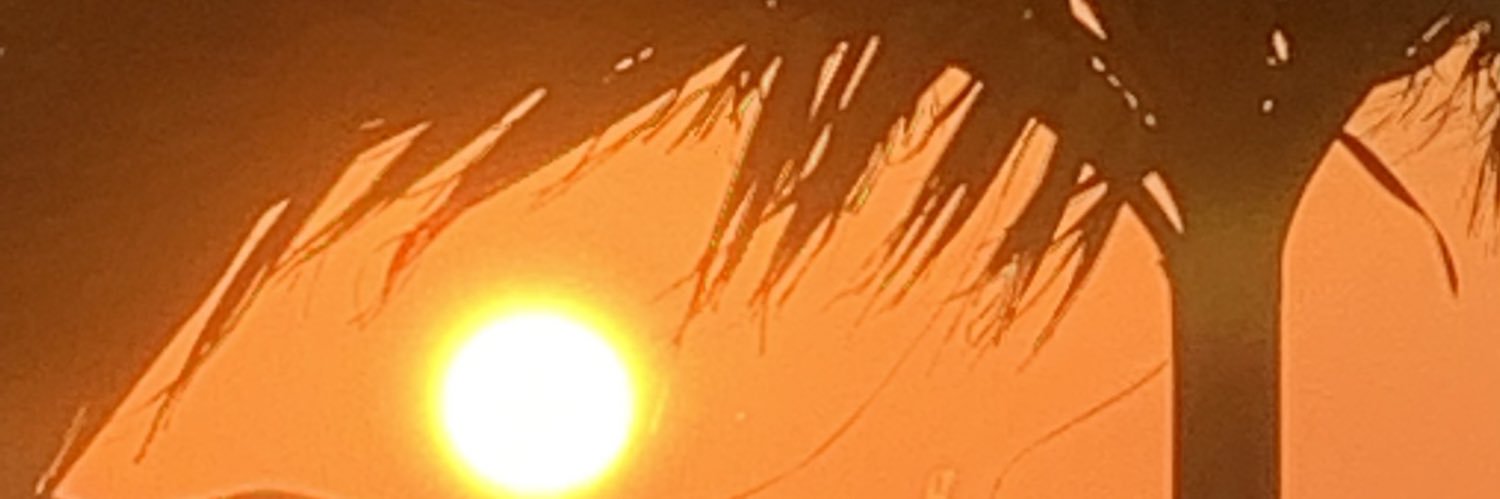 maryjane banner