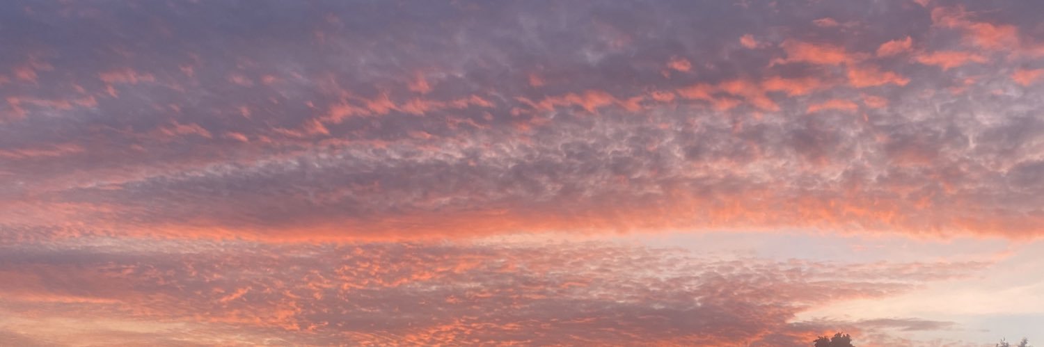 scottroughton's profile banner image