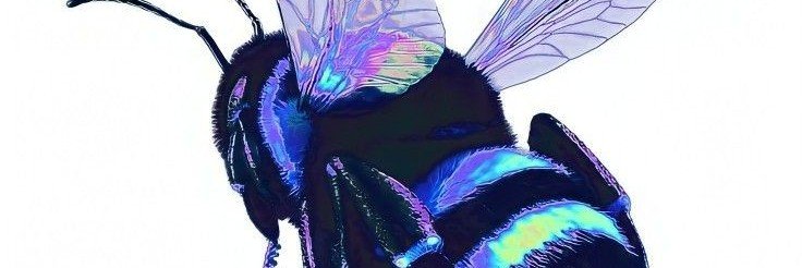 boldbug_dev's profile banner image