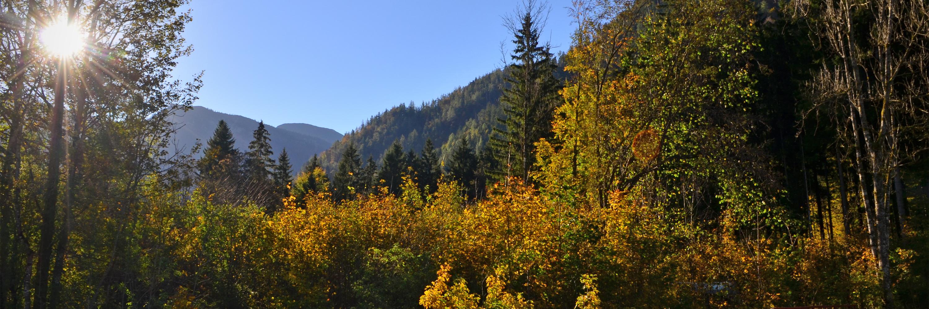 Alpenregion's profile banner image