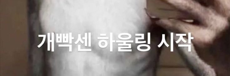 siillbi1's profile banner image