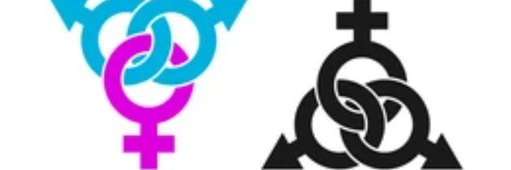 capripisisw's profile banner image