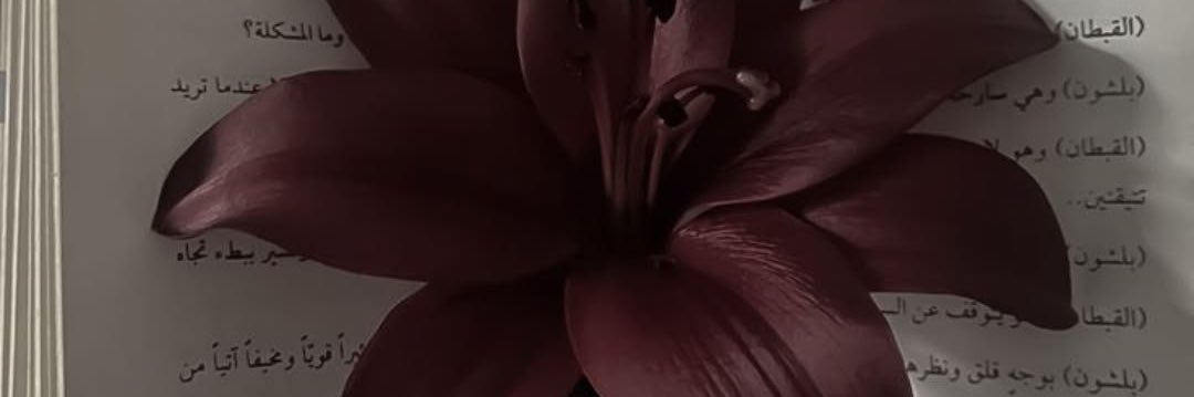 S banner