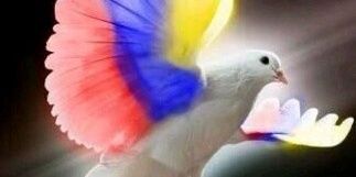 ildeabreu's profile banner image