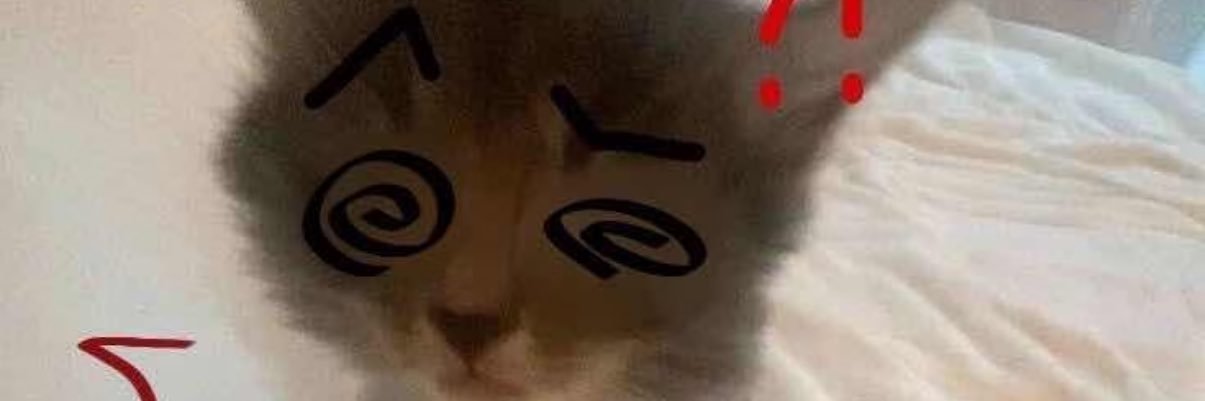 Gotelsi's profile banner image