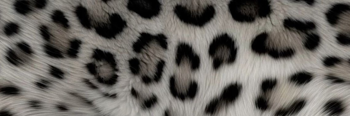 odysseyyy___'s profile banner image
