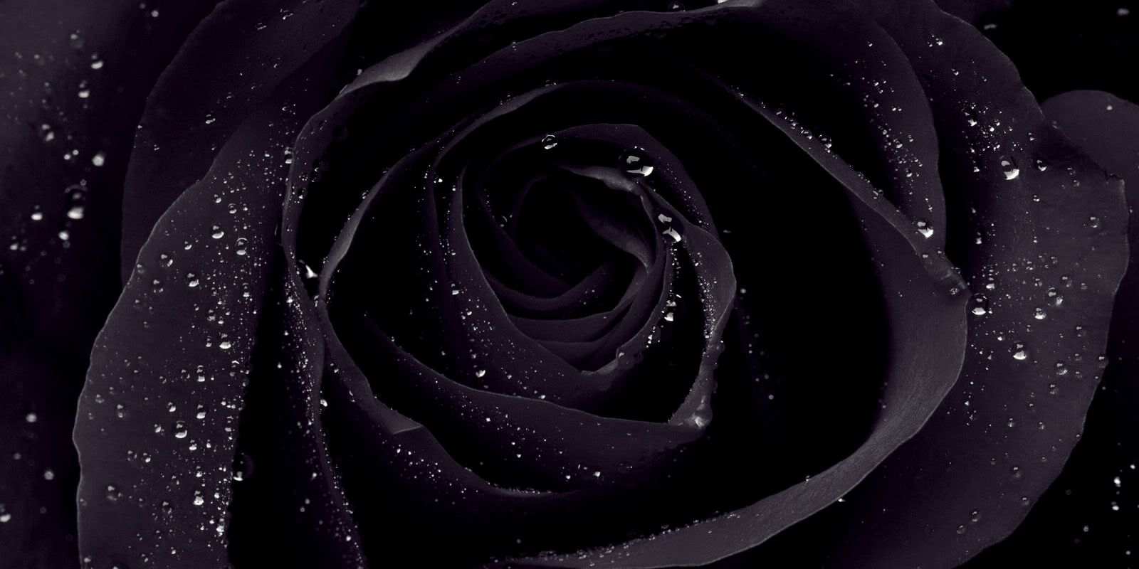 rian_and_rian's profile banner image