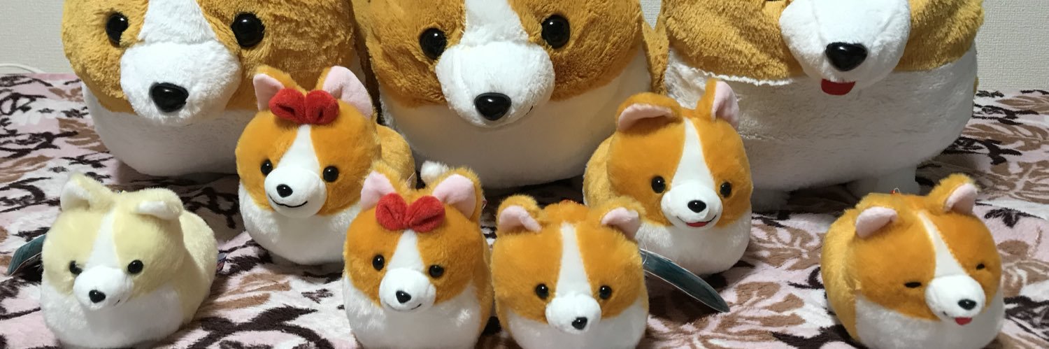 rumitandayo's profile banner image
