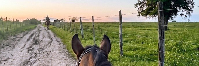 Jerrysayyss's profile banner image