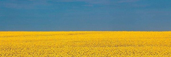 carlboutet Profile Banner
