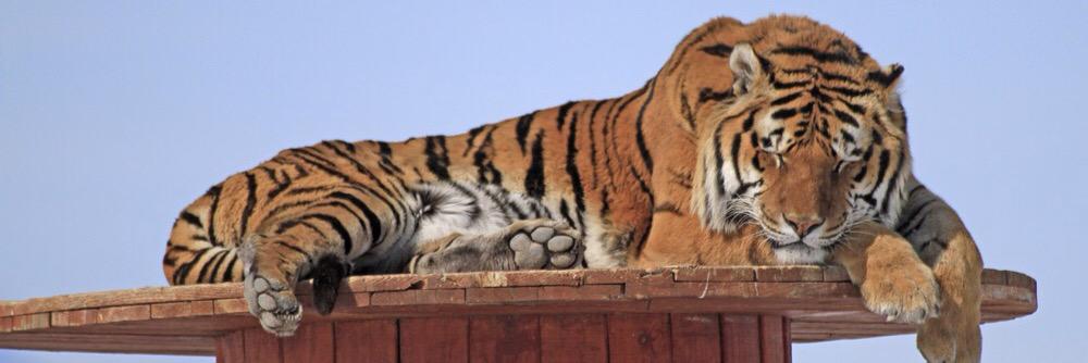 Keith Quaintance banner