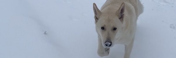 _geeemoney_ Profile Banner