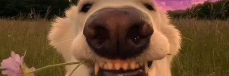 bryadesco's profile banner image
