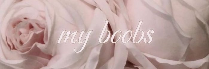 Vivifantasy3's profile banner image