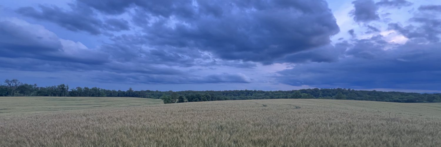 catulusaugustus's profile banner image