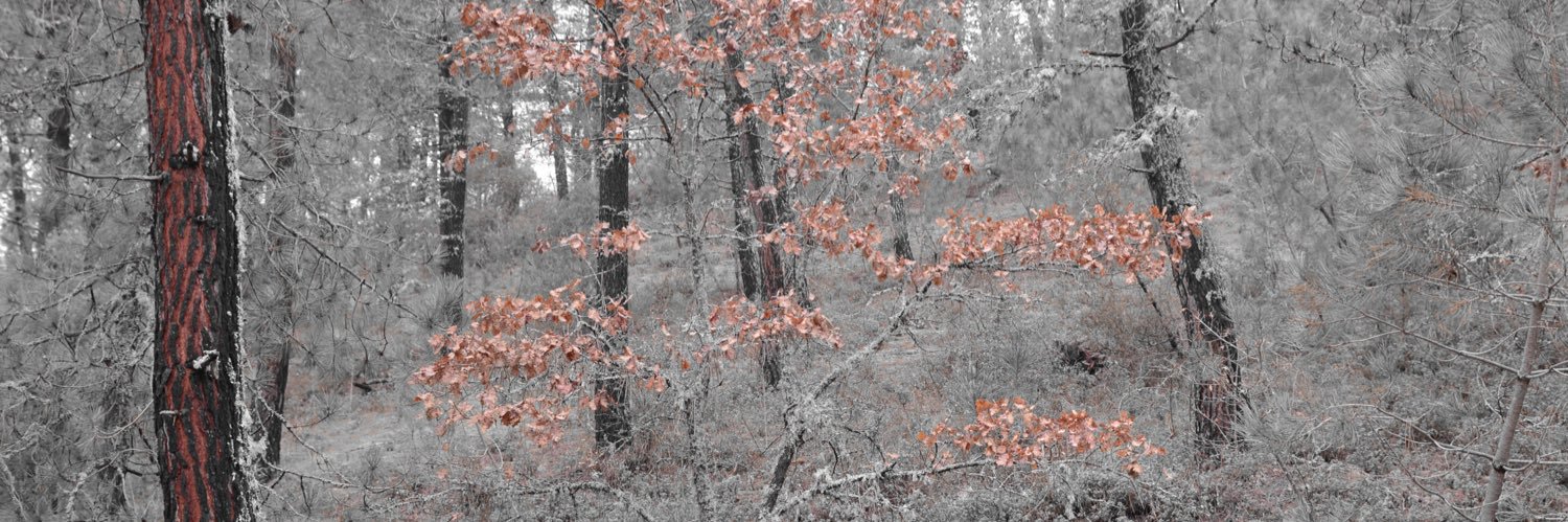 yucel_tweeting's profile banner image