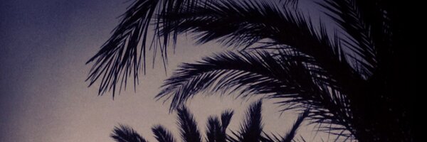 Janeyspoon Profile Banner