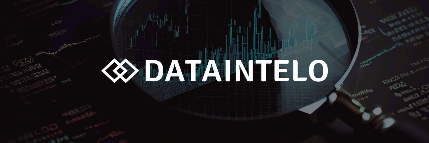 dataintelo_'s profile banner image