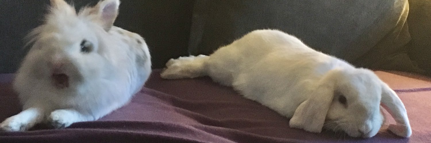 jade_says_stuff's profile banner image