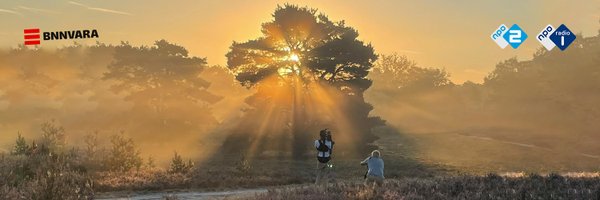 VroegeVogels Profile Banner