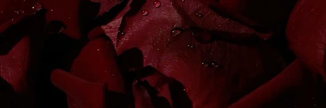 Stfandfriends's profile banner image